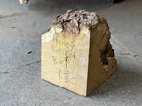 Honey Locust Burl 7.5”x5.5”x5.5”