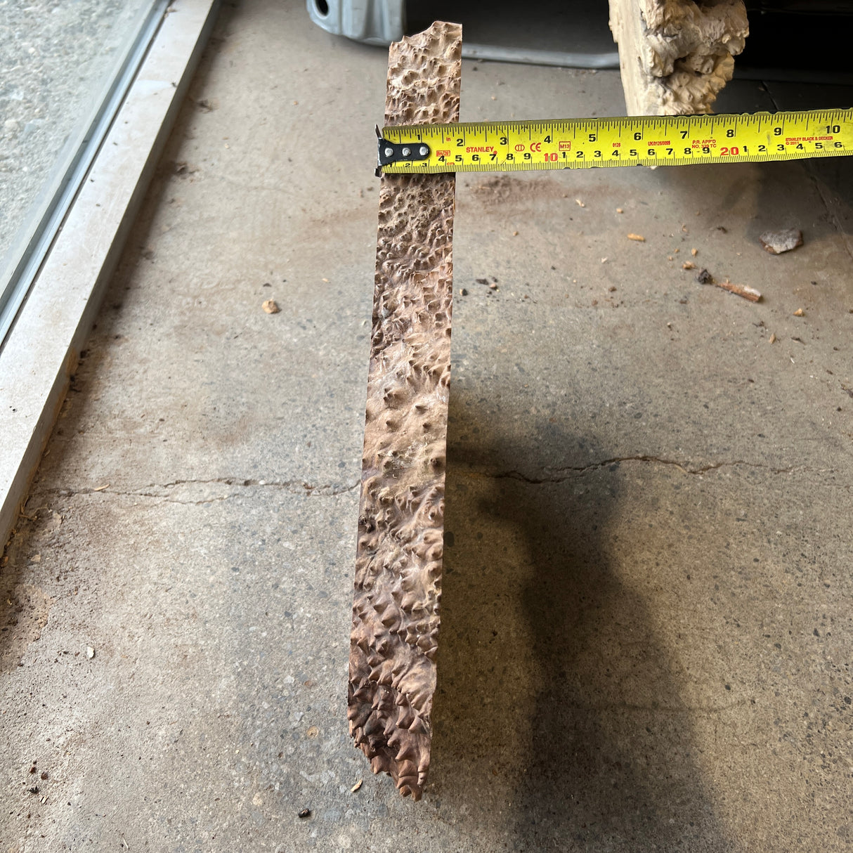 Madrone Burl 13”x8.5”x1.75”