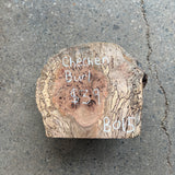 Chechen Burl 7”x6”x2.5”