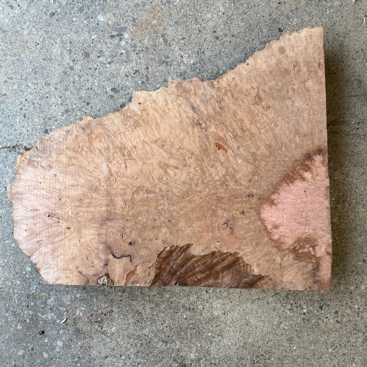 Madrone Burl 13”x8.5”x1.75”