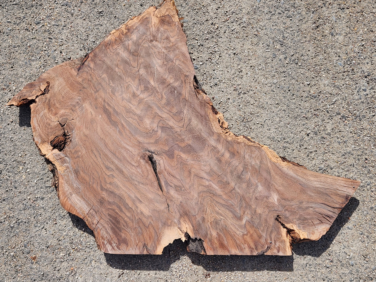 Claro Walnut 41"x20"x2.5"