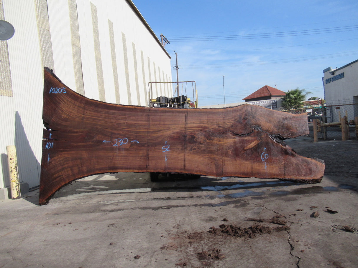 Claro Walnut 12/4 Live Edge #10203