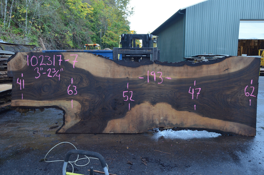 Black Walnut Live Edge #102317-07