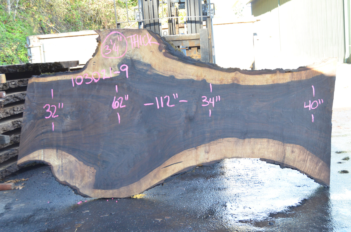 Black Walnut Live Edge #103021-09