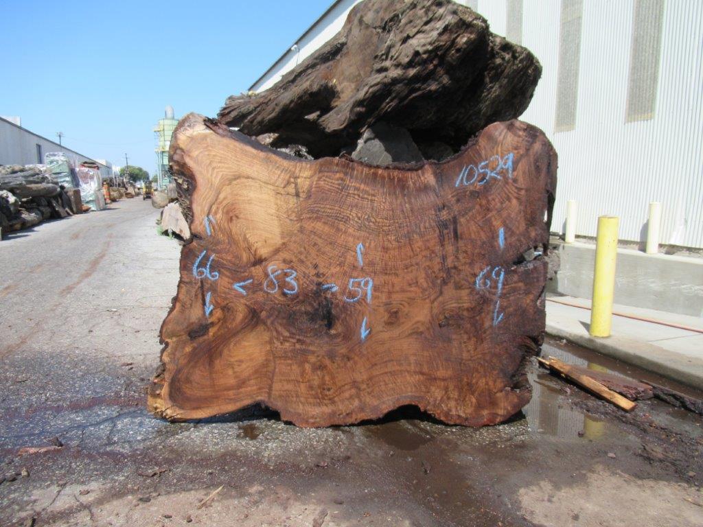 Claro Walnut Live Edge #10529