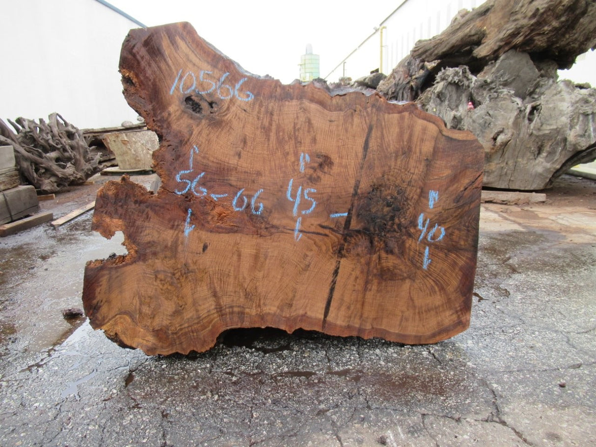 Claro Walnut 12/4 Live Edge #080