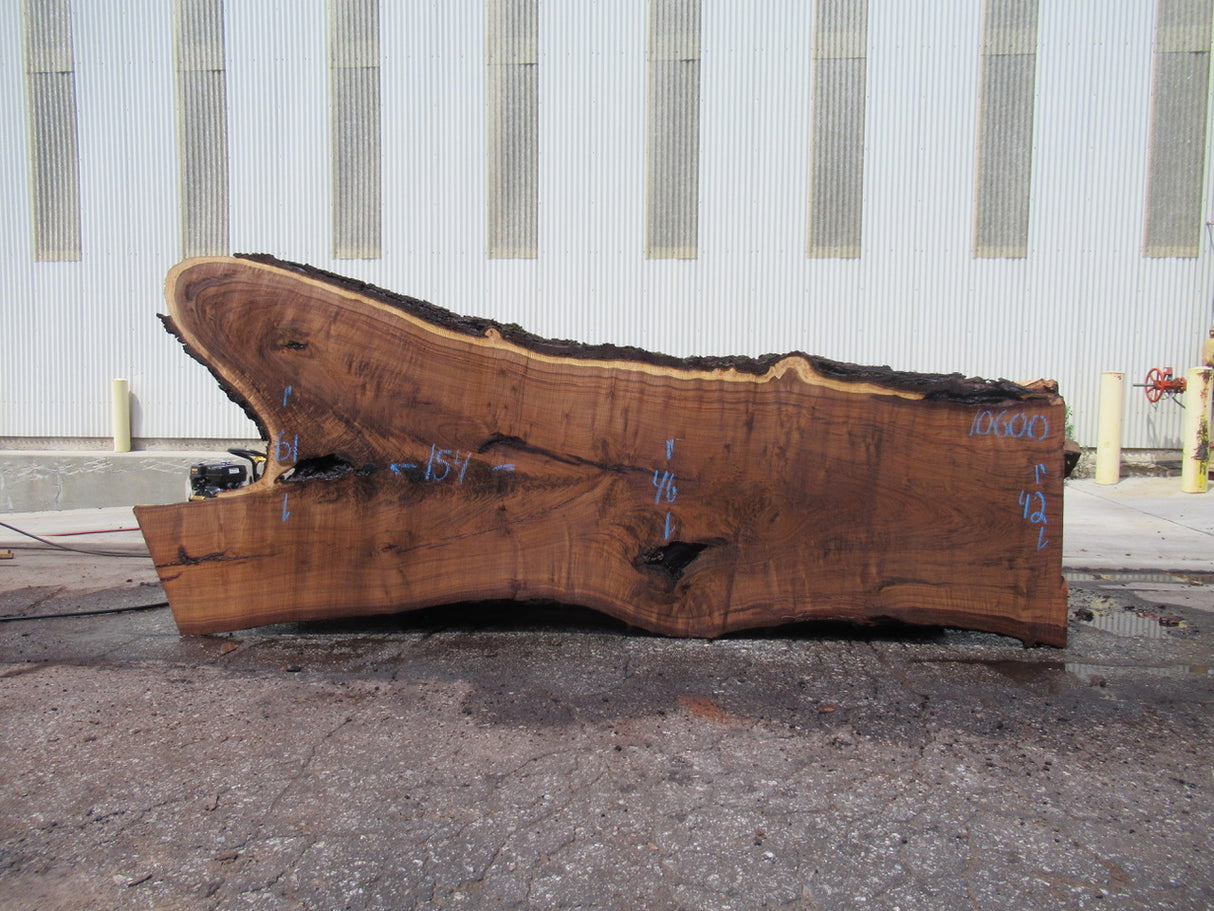 Claro Walnut 12/4 Live Edge #10600