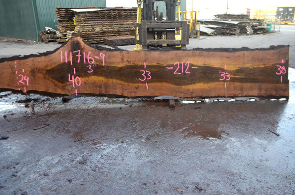 Black Walnut Live Edge #111716-09