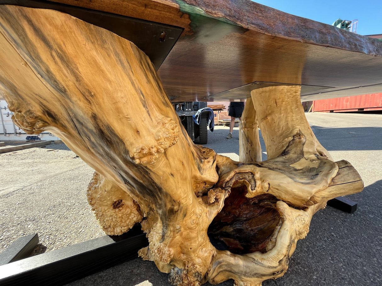 Burl Tree Trunk Base