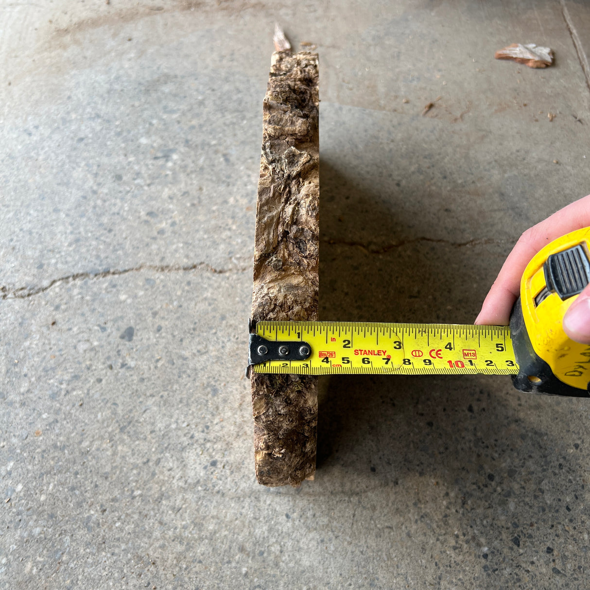 Ash Burl 12”x7”x1.25”