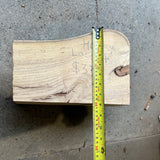 Honey Locust 11”x7”x6”