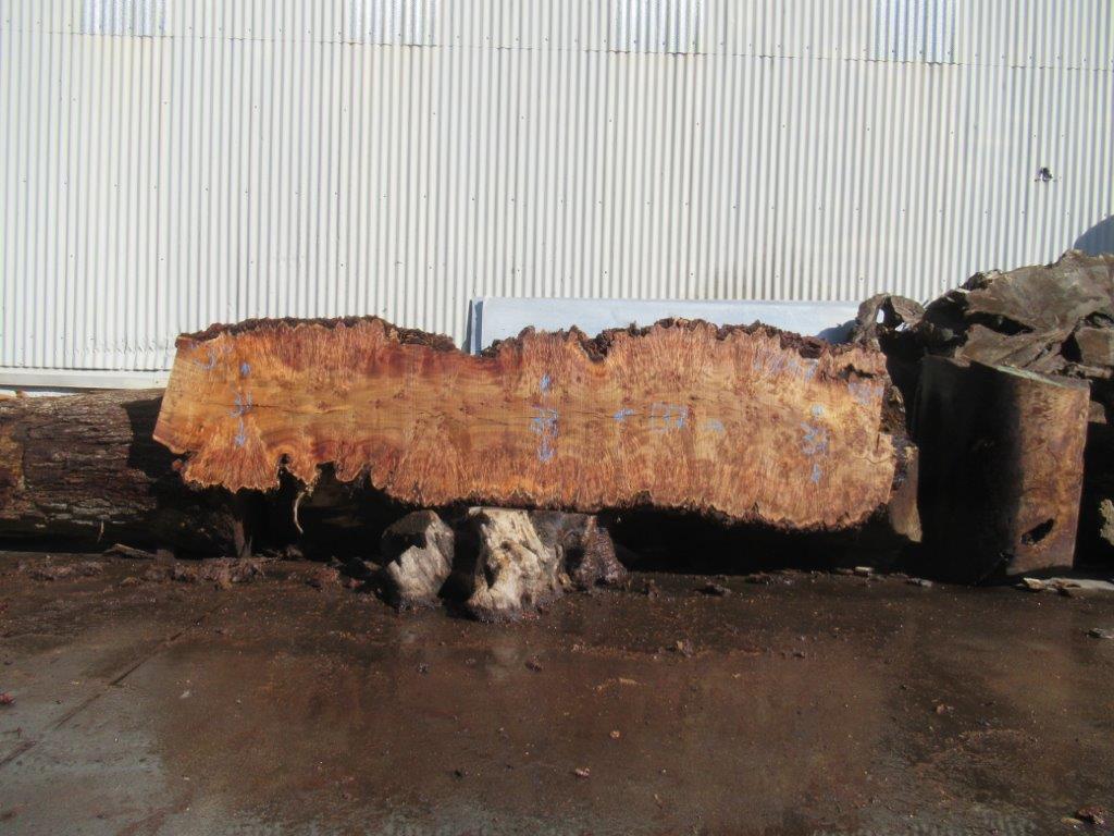 Cottonwood Live Edge #13067