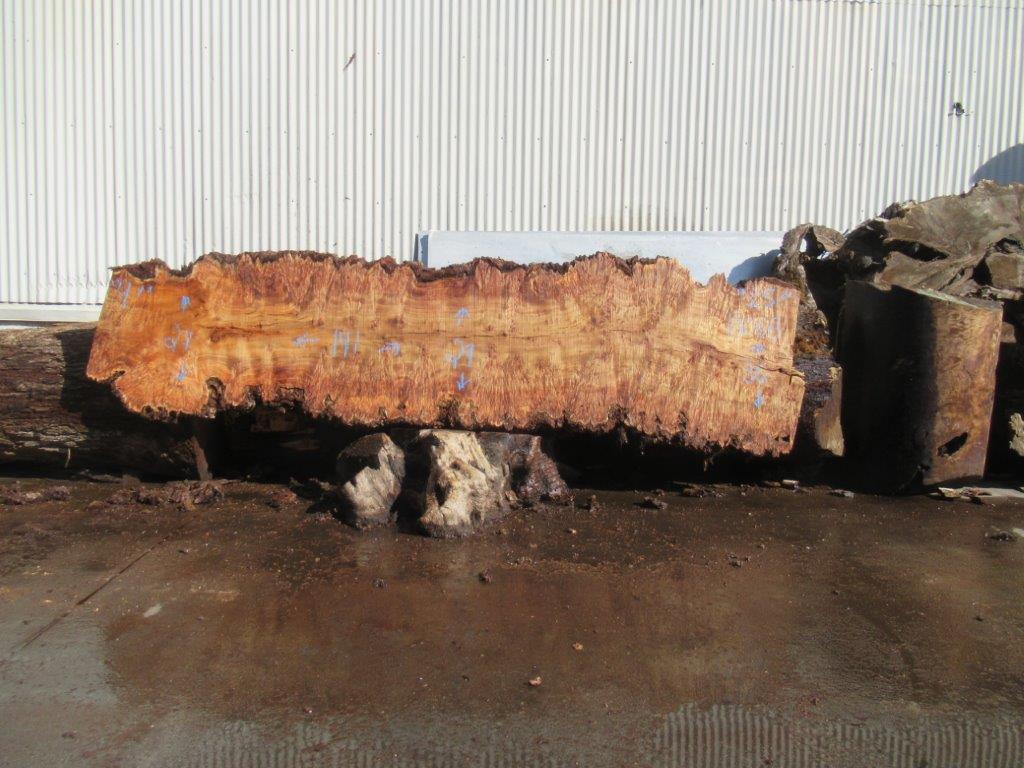 Cottonwood Live Edge #13068