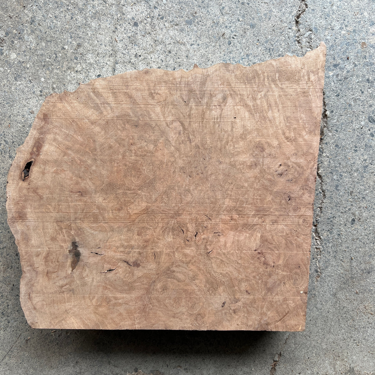 Madrone Burl 10”x9”x2”