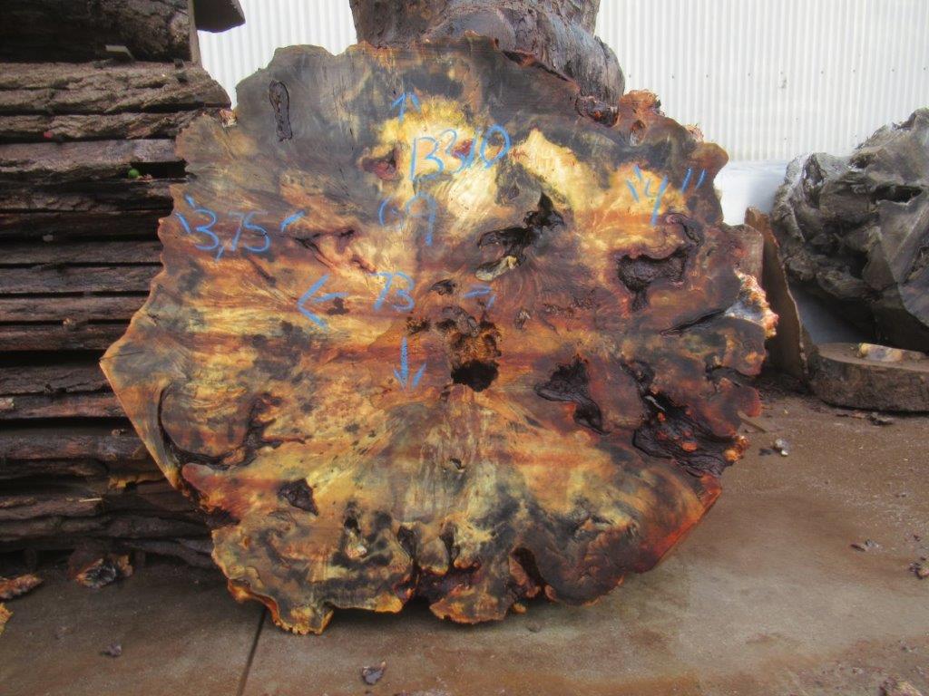 Buckeye Burl Cookie #13310