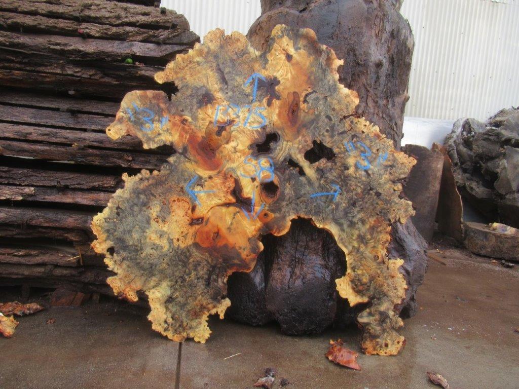 Buckeye Burl Cookie #13375