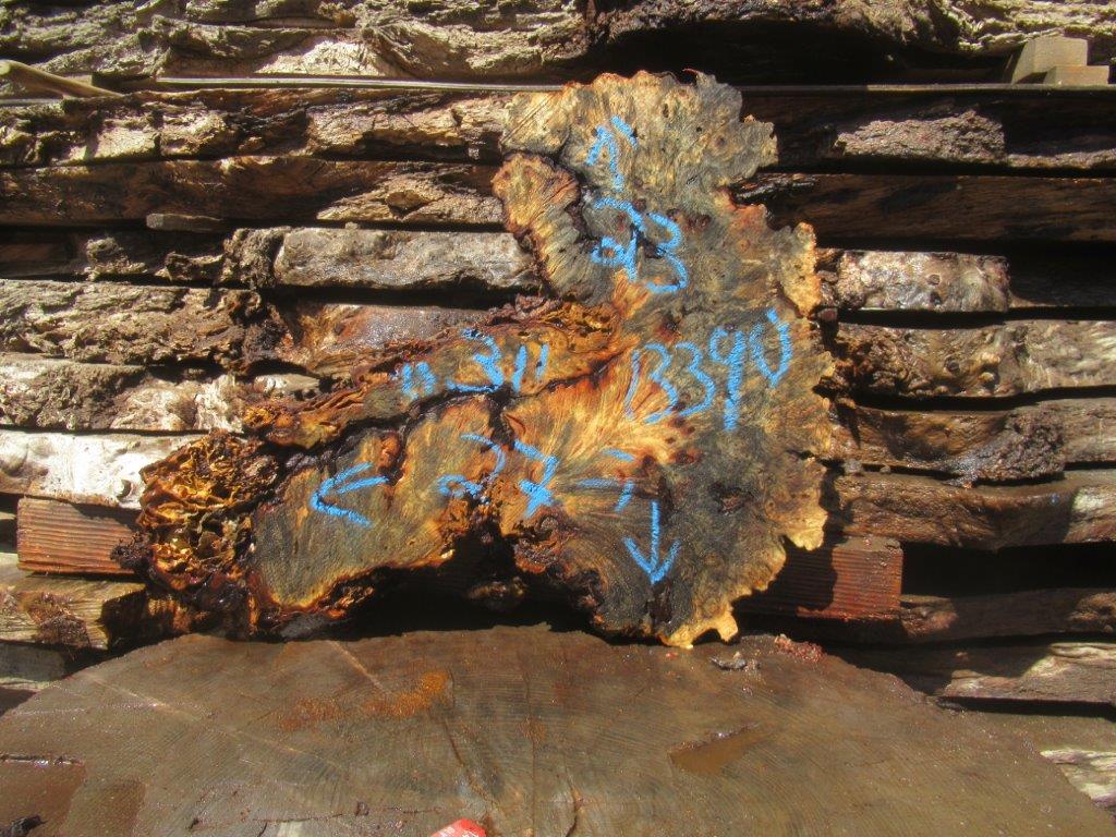 Buckeye Burl Cookie #13390