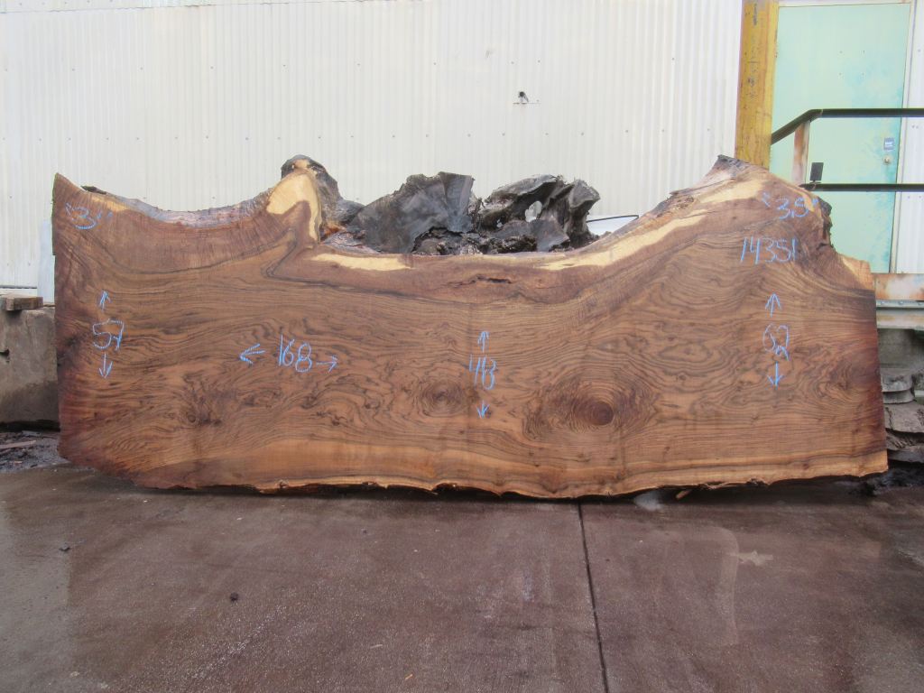 Bastogne Walnut Live Edge #007