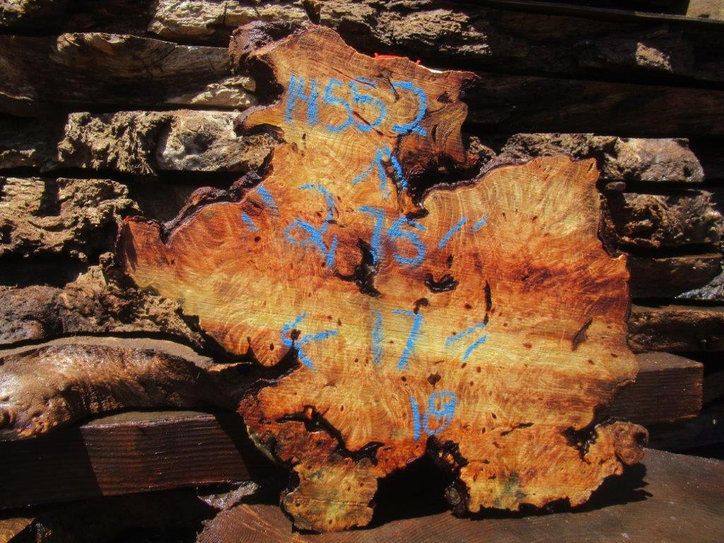 Buckeye Burl Cookie #14552