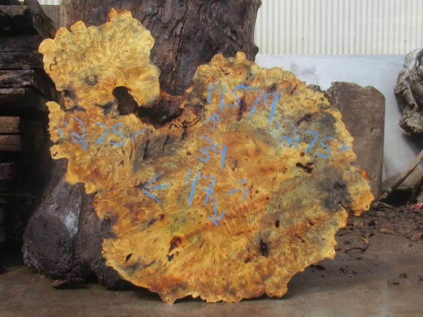 Buckeye Burl Live Edge #015