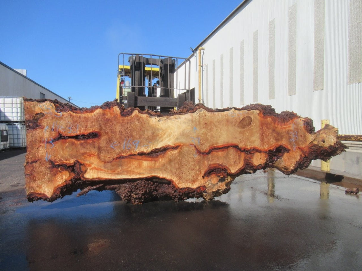 Mappa BurlLive Edge #023