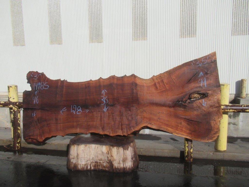 Claro Walnut Live Edge #14985