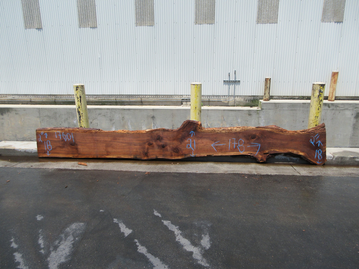 Claro Walnut Slab #17601