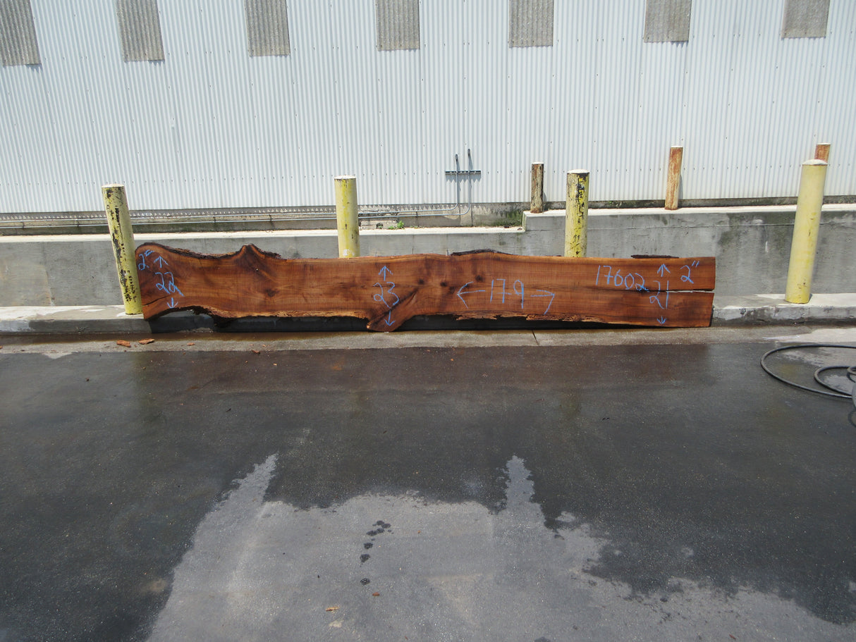 Claro Walnut Slab #17602
