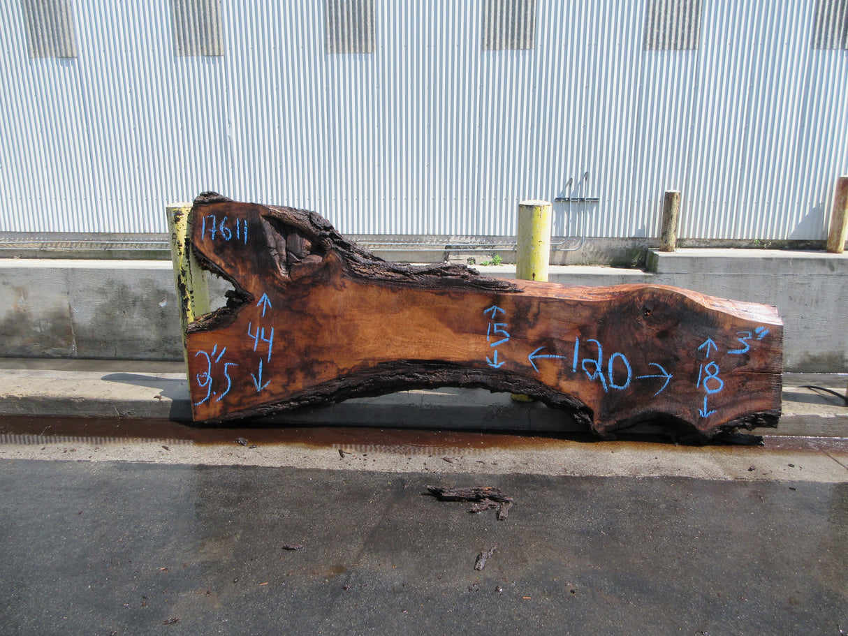 Claro Walnut Slab #17611