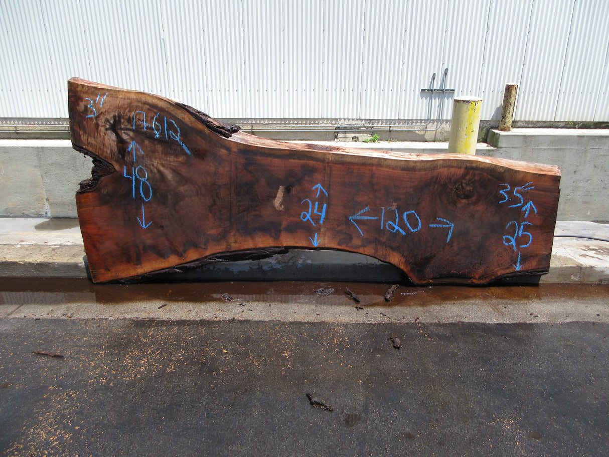 Claro Walnut Slab #17612