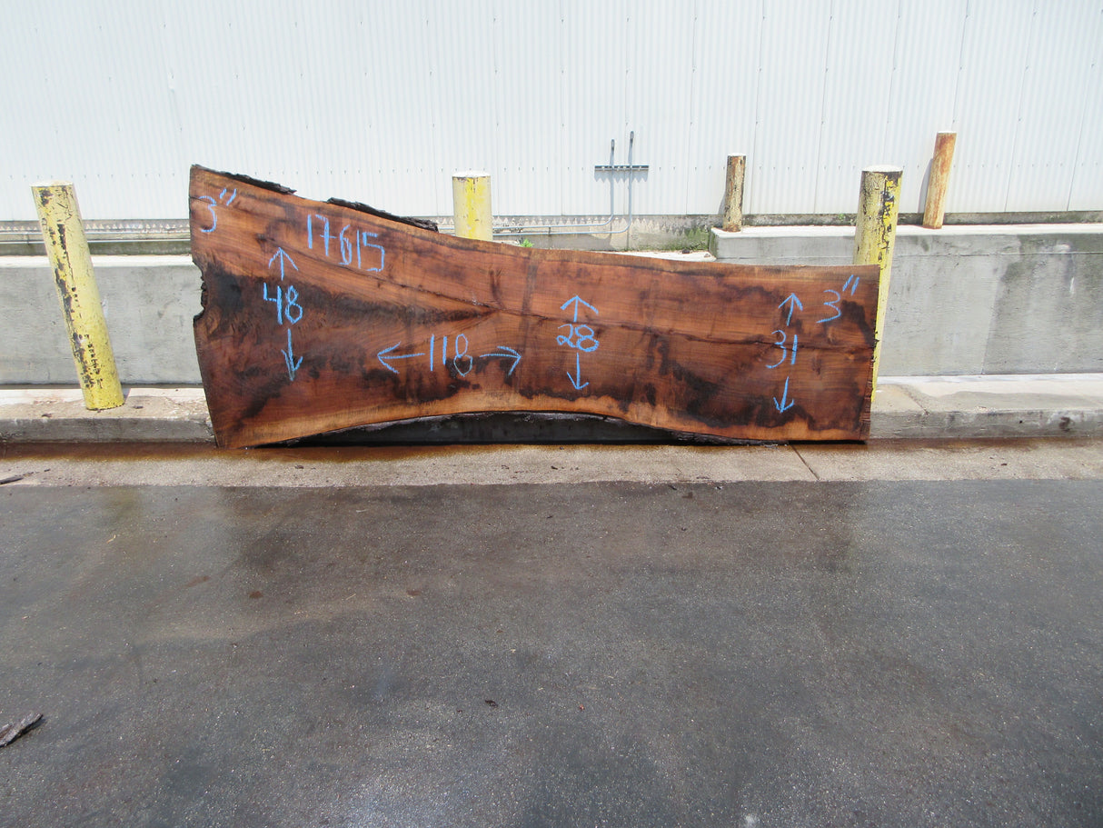 Claro Walnut Slab #17615