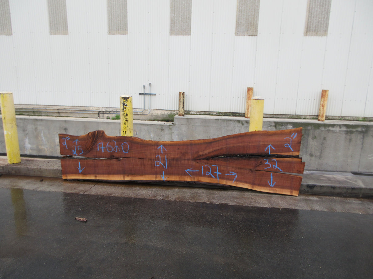 Claro Walnut Slab #17620