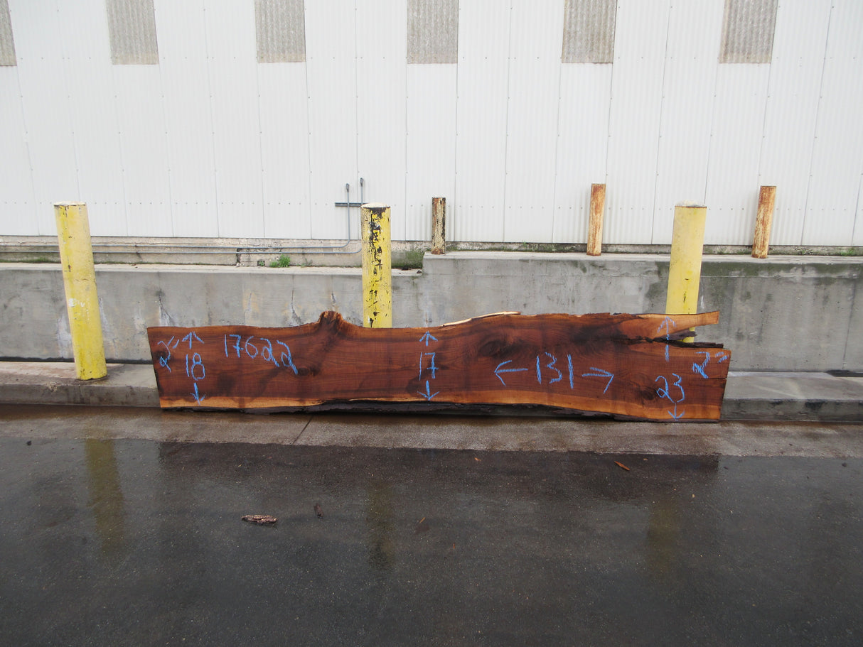 Claro Walnut Slab #17622