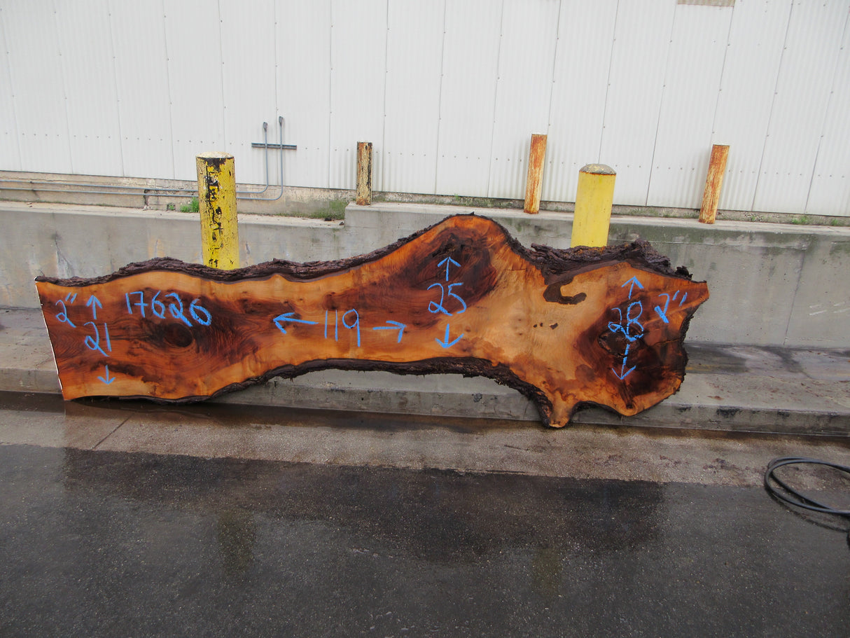 Claro Walnut Slab #17626