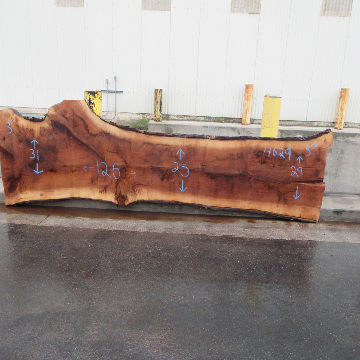 Claro Walnut Slab #17629 – Black Forest Wood Co.