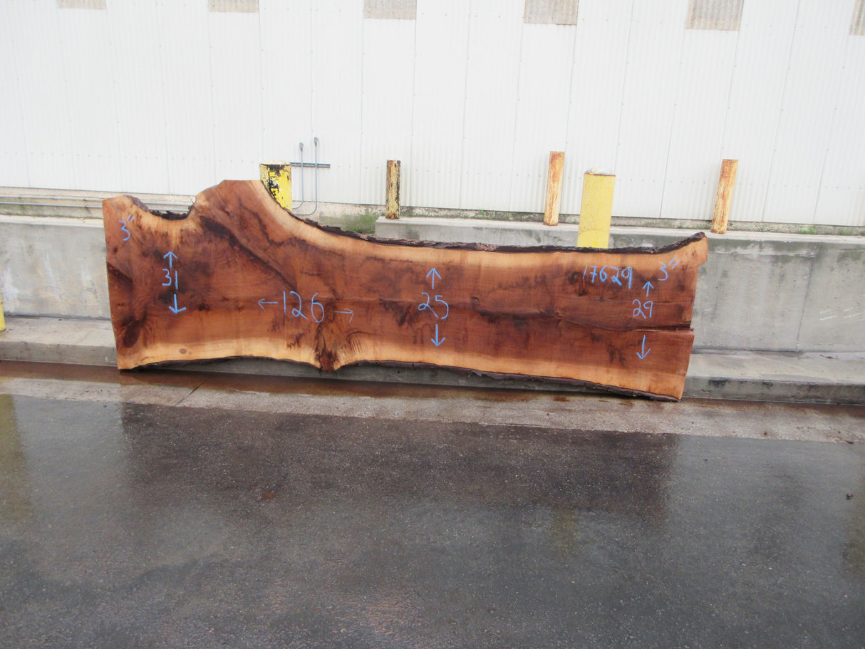Claro Walnut Slab #17624