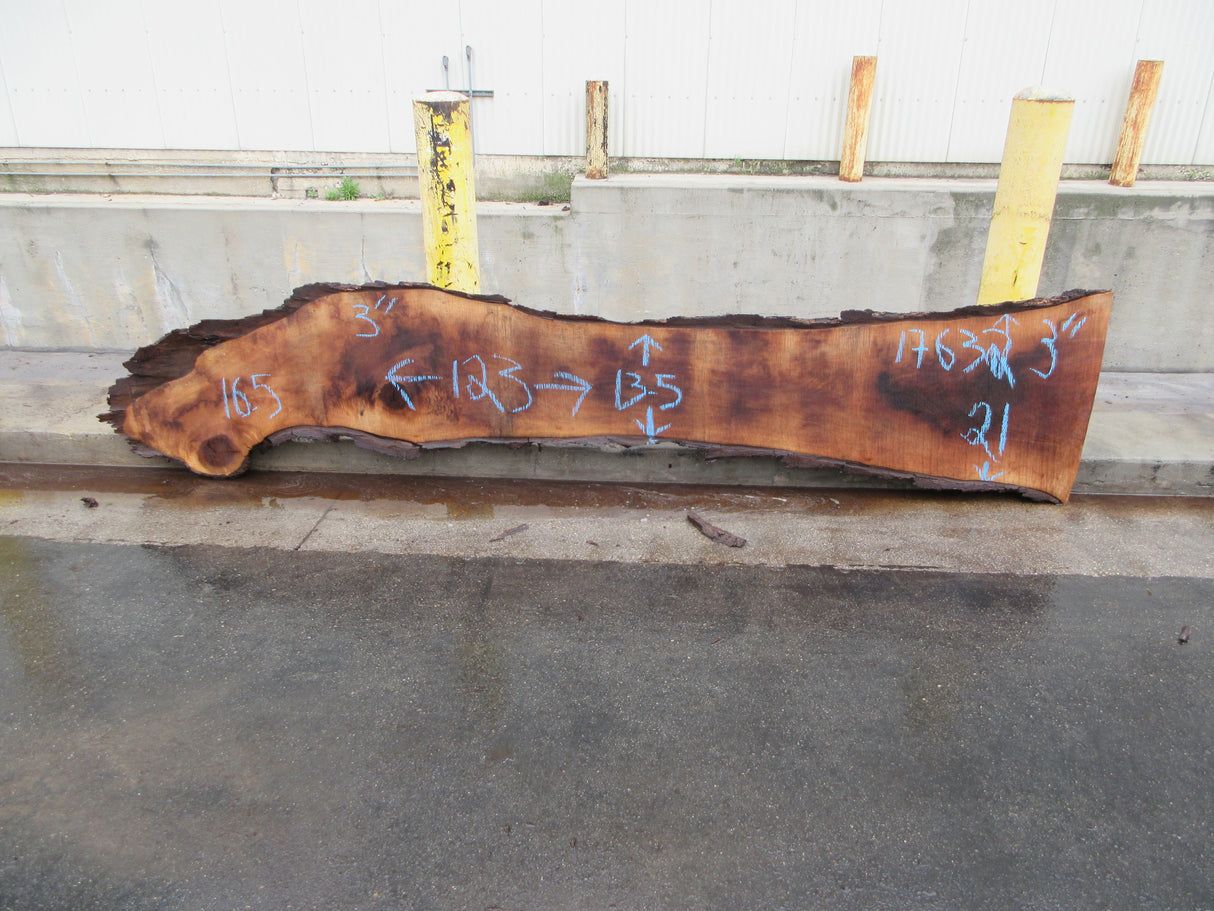 Claro Walnut Slab #17632