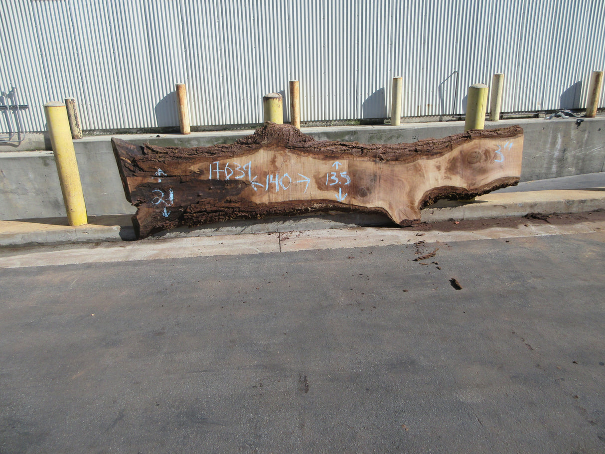 Claro Walnut Slab #17639