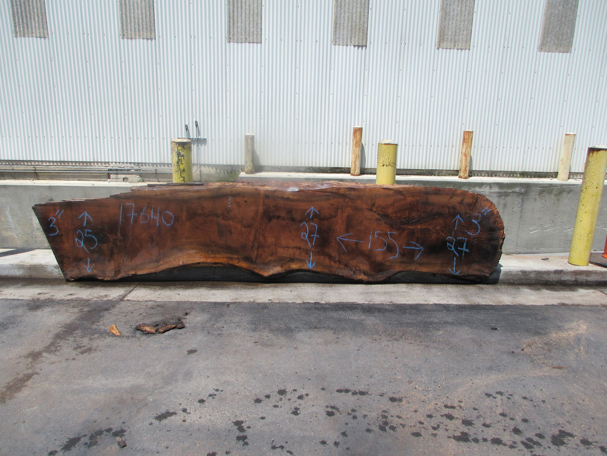Claro Walnut Slab #17640