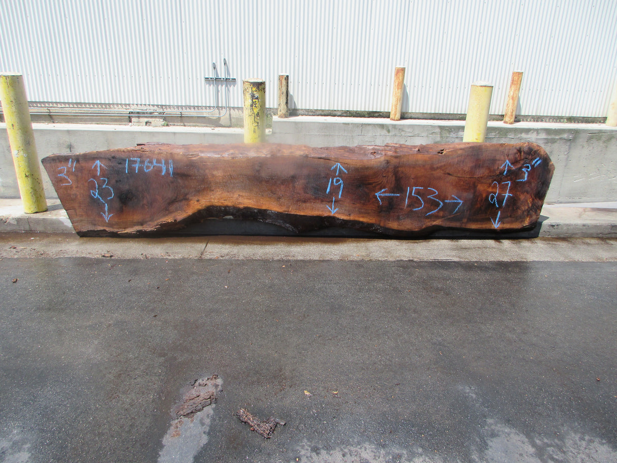 Claro Walnut Slab #17641