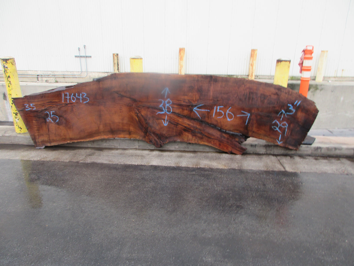 Claro Walnut Slab #17643