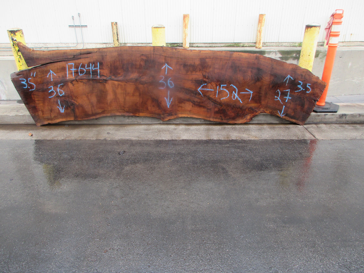 Claro Walnut Slab #17644