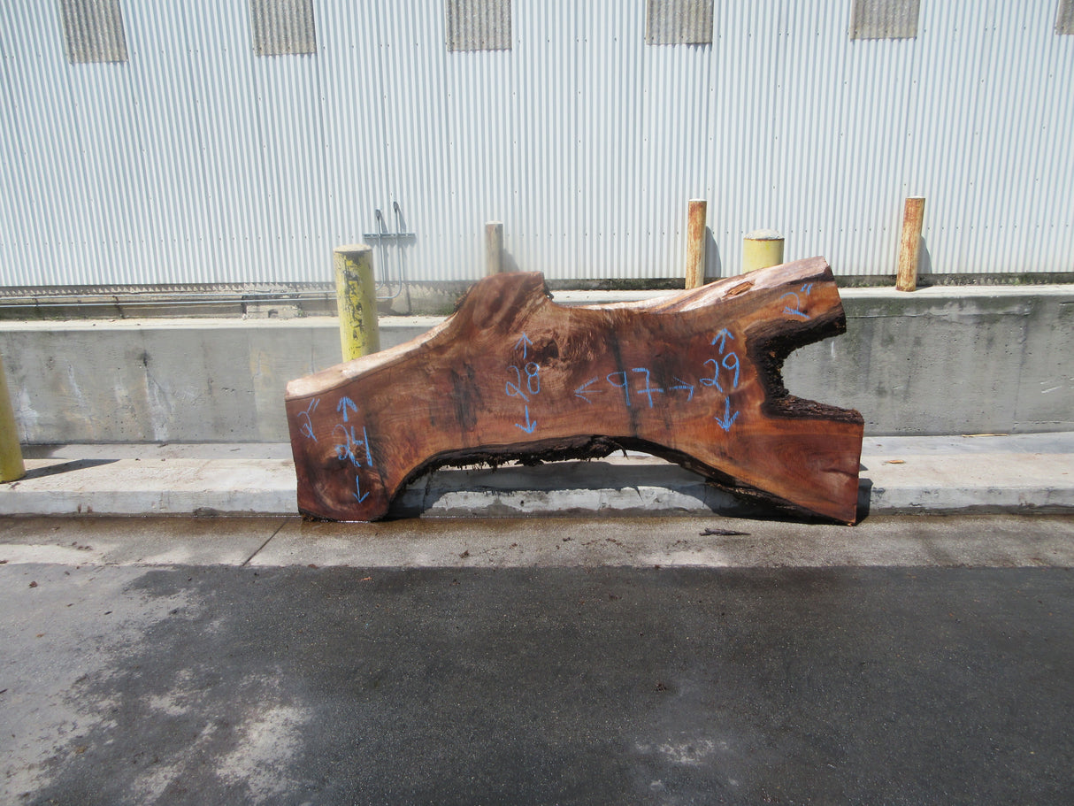 Claro Walnut Slab #17653