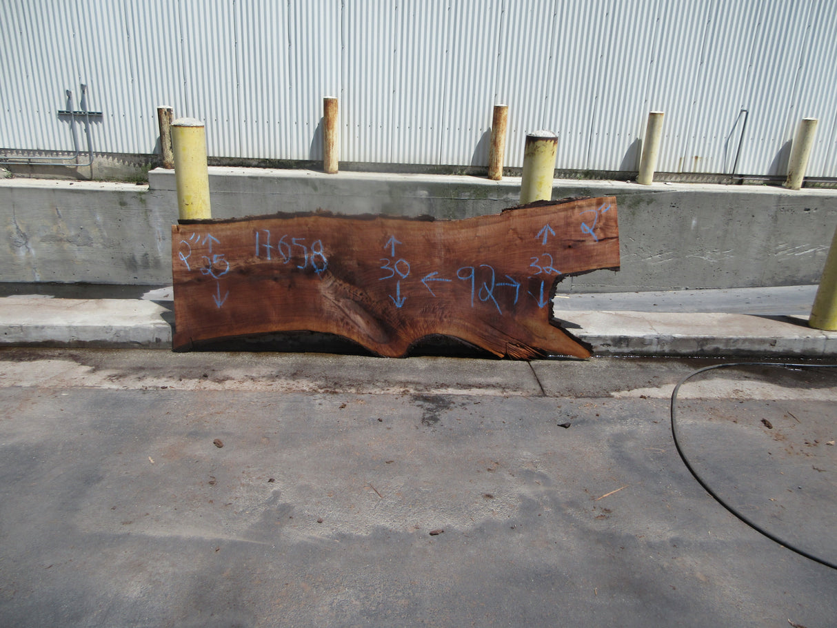 Claro Walnut Slab #17658