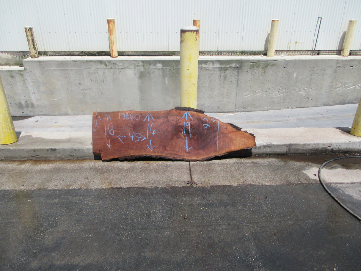 Claro Walnut Slab #17660