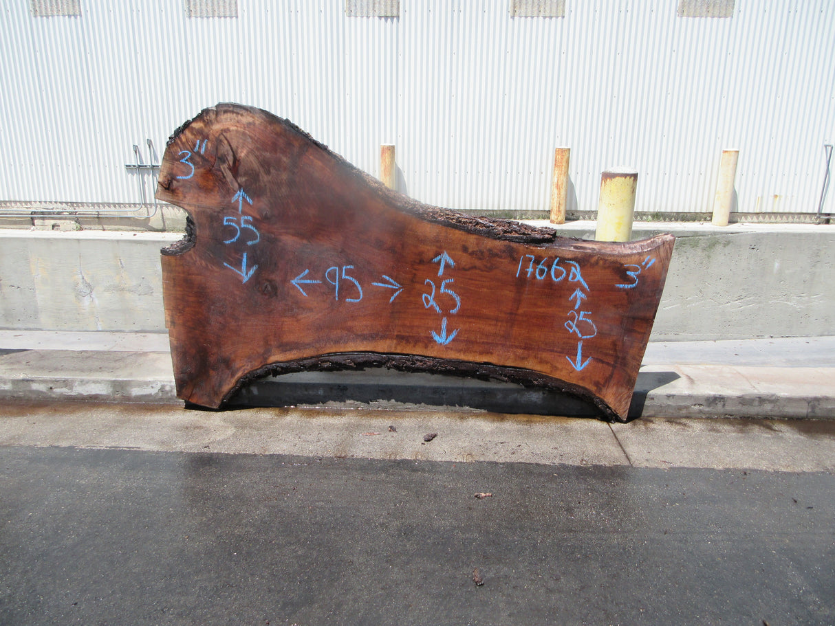 Claro Walnut Slab #17662
