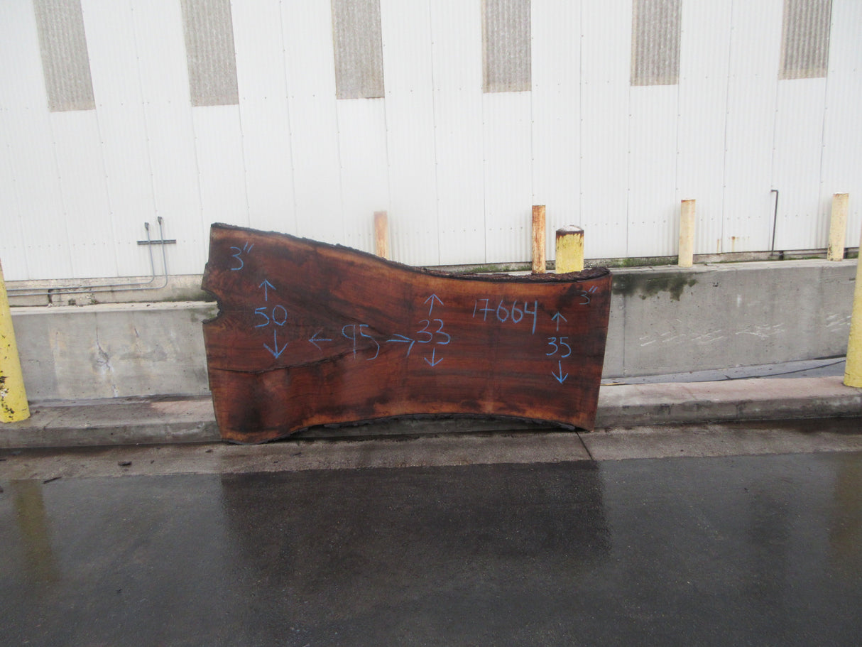 Claro Walnut Slab #17664