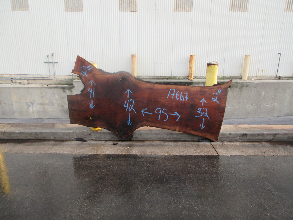 Claro Walnut Slab #17667