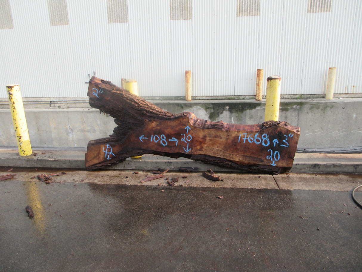 Claro Walnut Slab #17668