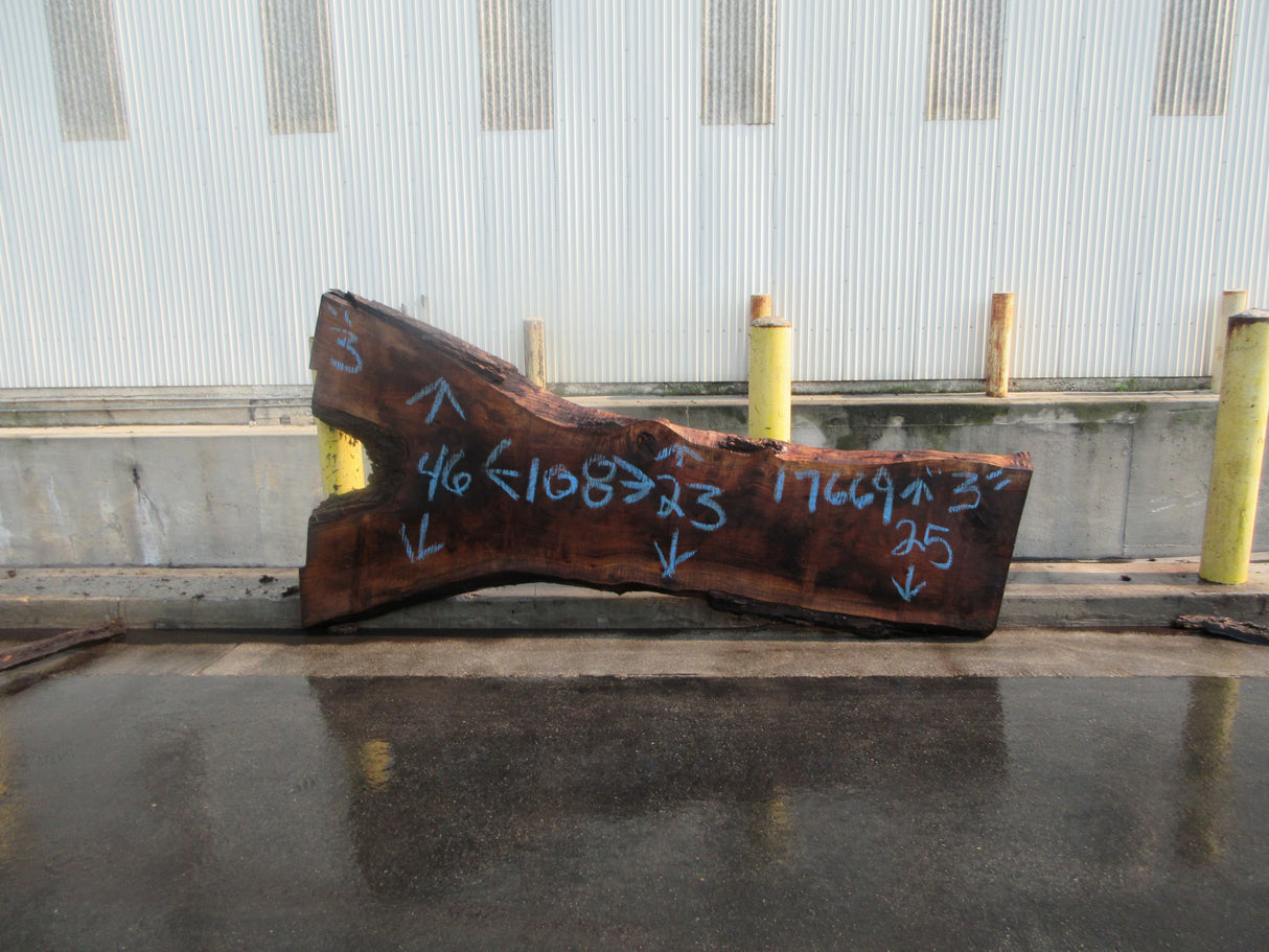 Claro Walnut Slab #17669